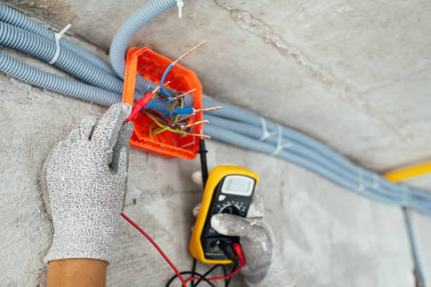 Best Electric Panel Repair  in Adel, GA